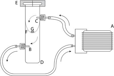 Scent releasing silicone septa: A versatile method for bioassays with volatiles